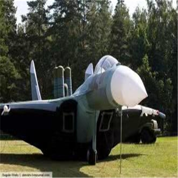 塔洋镇充气模型飞机制造商家